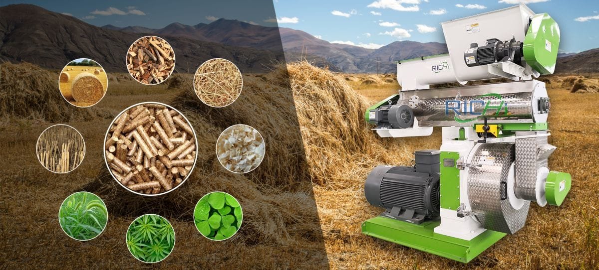 Biomass Pellet Press