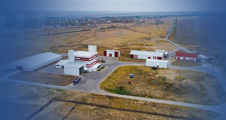 Cattle Feed Manufacturing Machine Price
