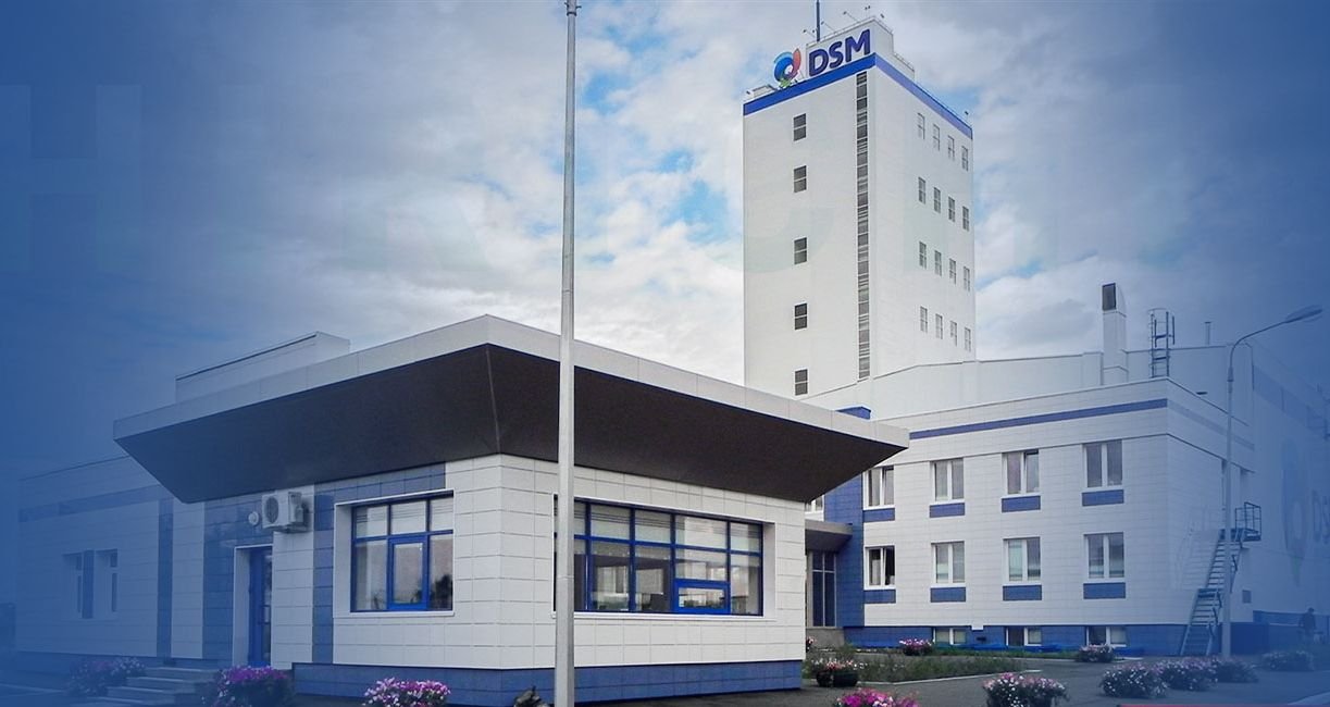 bird Food Factory solution