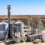 Can One Feed Factory Create Multiple Revenue Streams?
