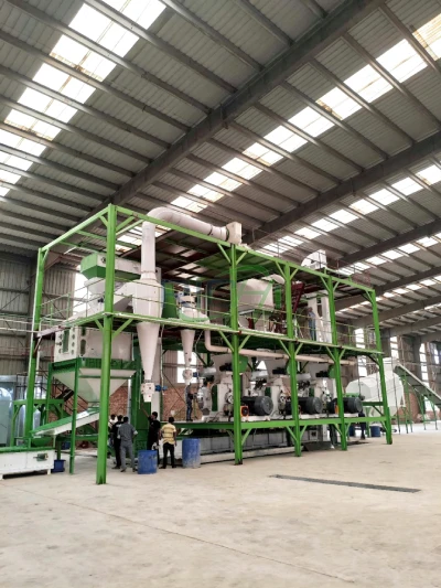 20T/H wood chip and sawdust pellet production line installed in Bangladesh factory