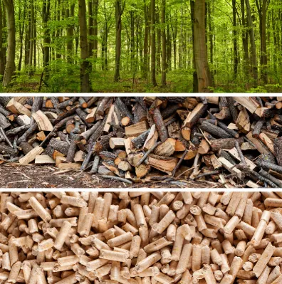 Raw wood logs, sawdust and finished wood fuel pellets for pellet mill production