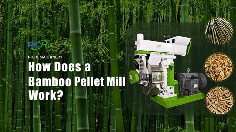Is Bamboo a Realistic Feedstock for Biomass Pellets?